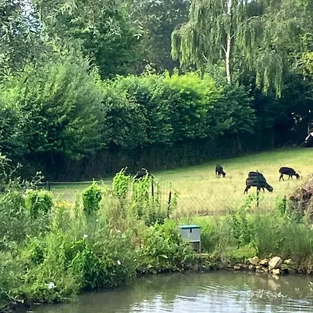 Apartamento Terre & Deauville