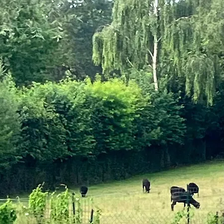 Διαμέρισμα Terre & Deauville *