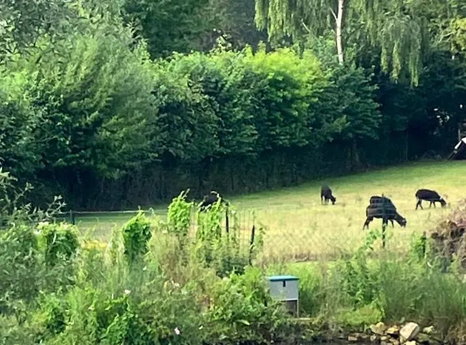 Διαμέρισμα Terre & Deauville