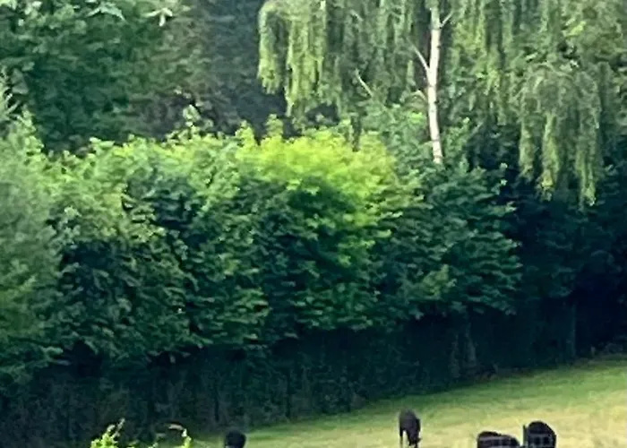 Διαμέρισμα Terre & Deauville *